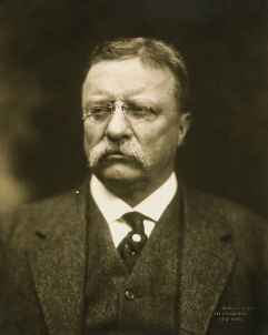 Where Have You Gone Teddy Roosevelt
